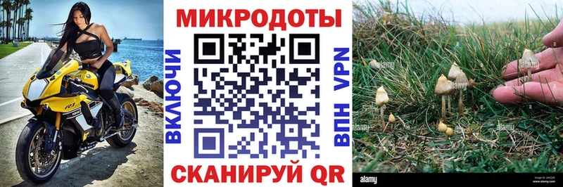 Галлюциногенные грибы прущие грибы  закладка  Починок 